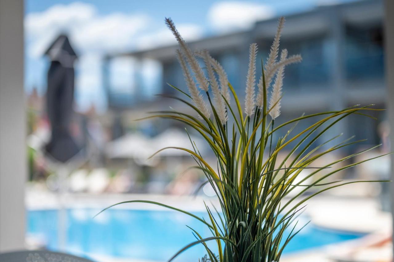Dionysos Hotel & Suites Hanioti Luaran gambar